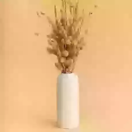  Tall Skinny Neck Vase White 